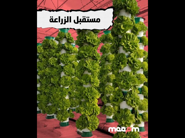 هل ستكون الزراعة العامودية هي المنقذ؟